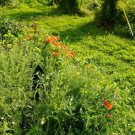 別荘 Les Jardins De Felicie
