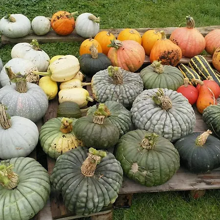 Les Jardins De Felicie Vakantiehuis