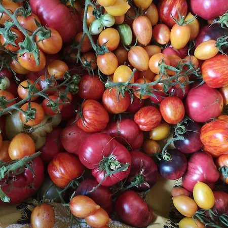 Les Jardins De Felicie Vakantiehuis