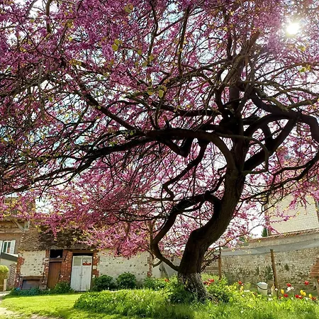 Les Jardins De Felicie Poses