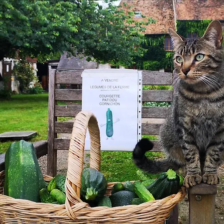 Les Jardins De Felicie