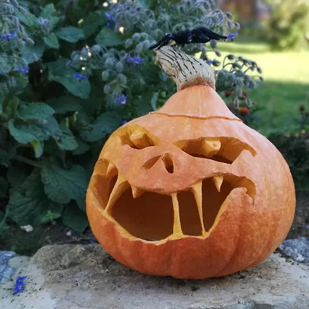 Les Jardins De Felicie Vakantiehuis