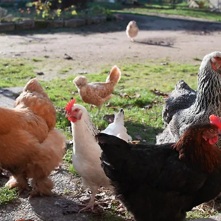 Les Jardins De Felicie *