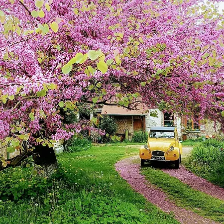 Les Jardins De Felicie